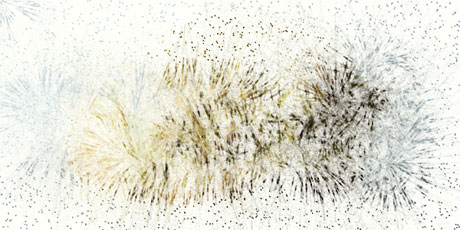 particulate