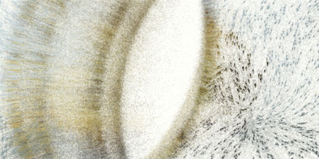 particulate